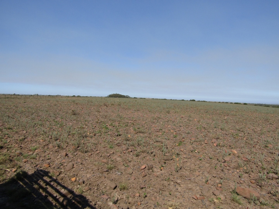 Commercial Property for Sale in Humansdorp Rural Eastern Cape